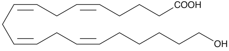 20-HETE(solution in ethanol)