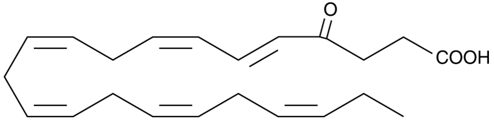 4-oxo Docosahexaenoic Acid (solution in ethanol)