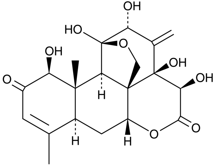 Eurycomanone