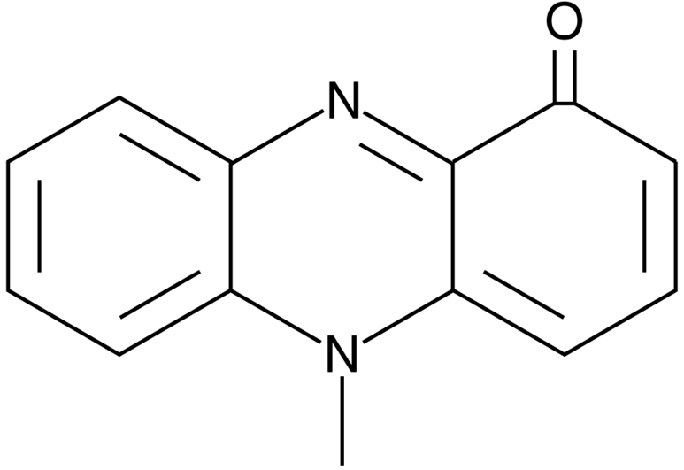 Pyocyanin