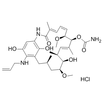 IPI-504 (Retaspimycin hydrochloride)