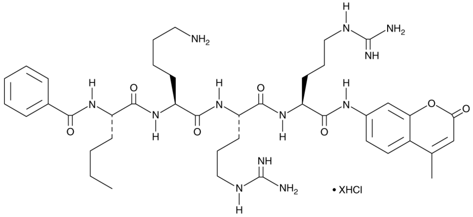 Bz-Nle-Lys-Arg-Arg-AMC (hydrochloride)
