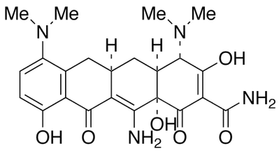 12-AMino Minocycline