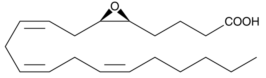 (±)5(6)-EET(solution in ethanol)