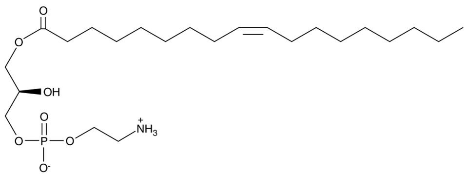 1-Oleoyl-2-hydroxy-sn-glycero-3-PE