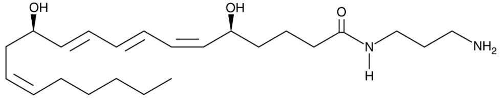 Leukotriene B4-3-aminopropylamide