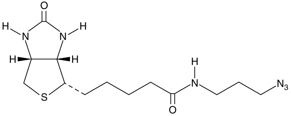 Biotin-azide