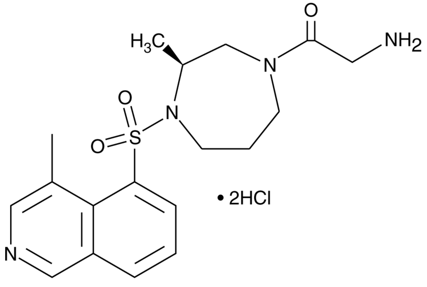 (S)-Glycyl-H-1152 (hydrochloride)(solution in methanol)
