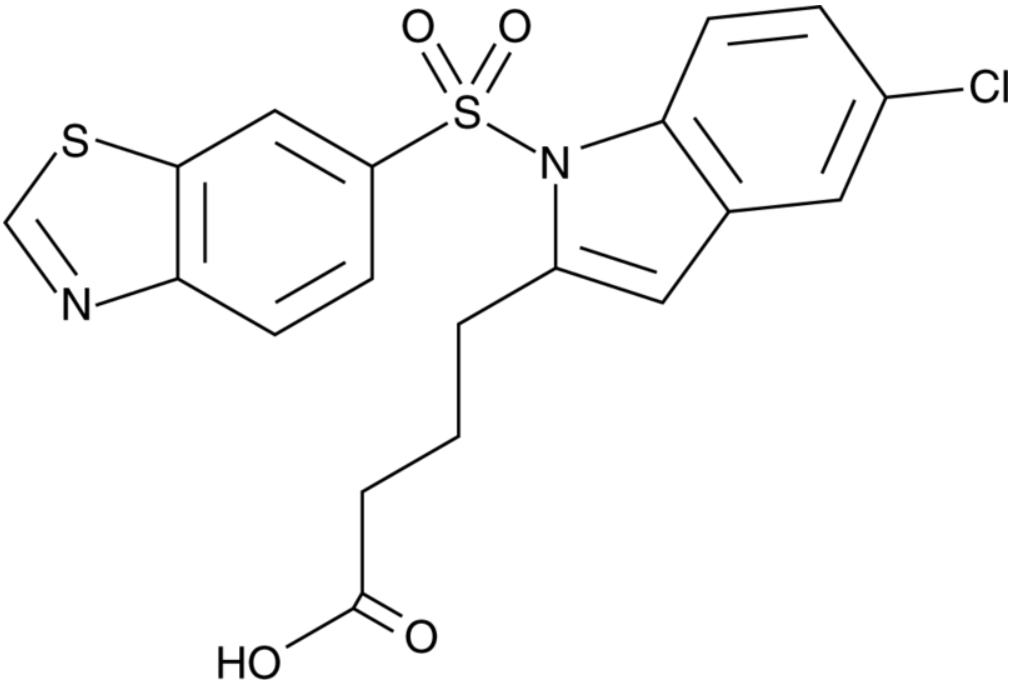 Lanifibranor