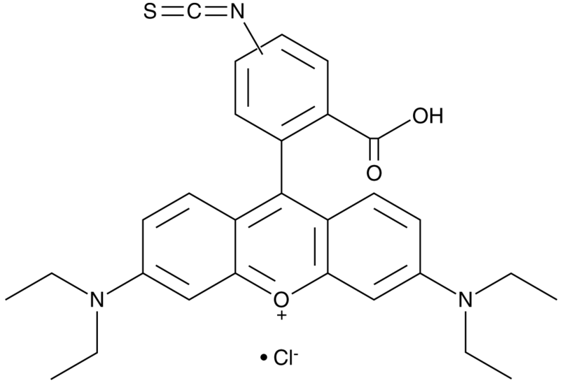Rhodamine B isothiocyanate (mixed isomers)