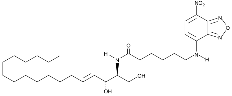 C-6 NBD Ceramide