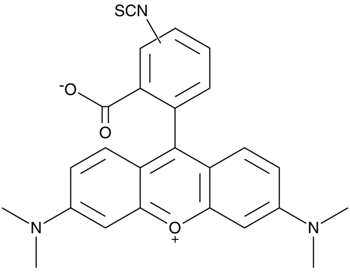Tetramethylrhodamine isothiocyanate (mixed isomers)