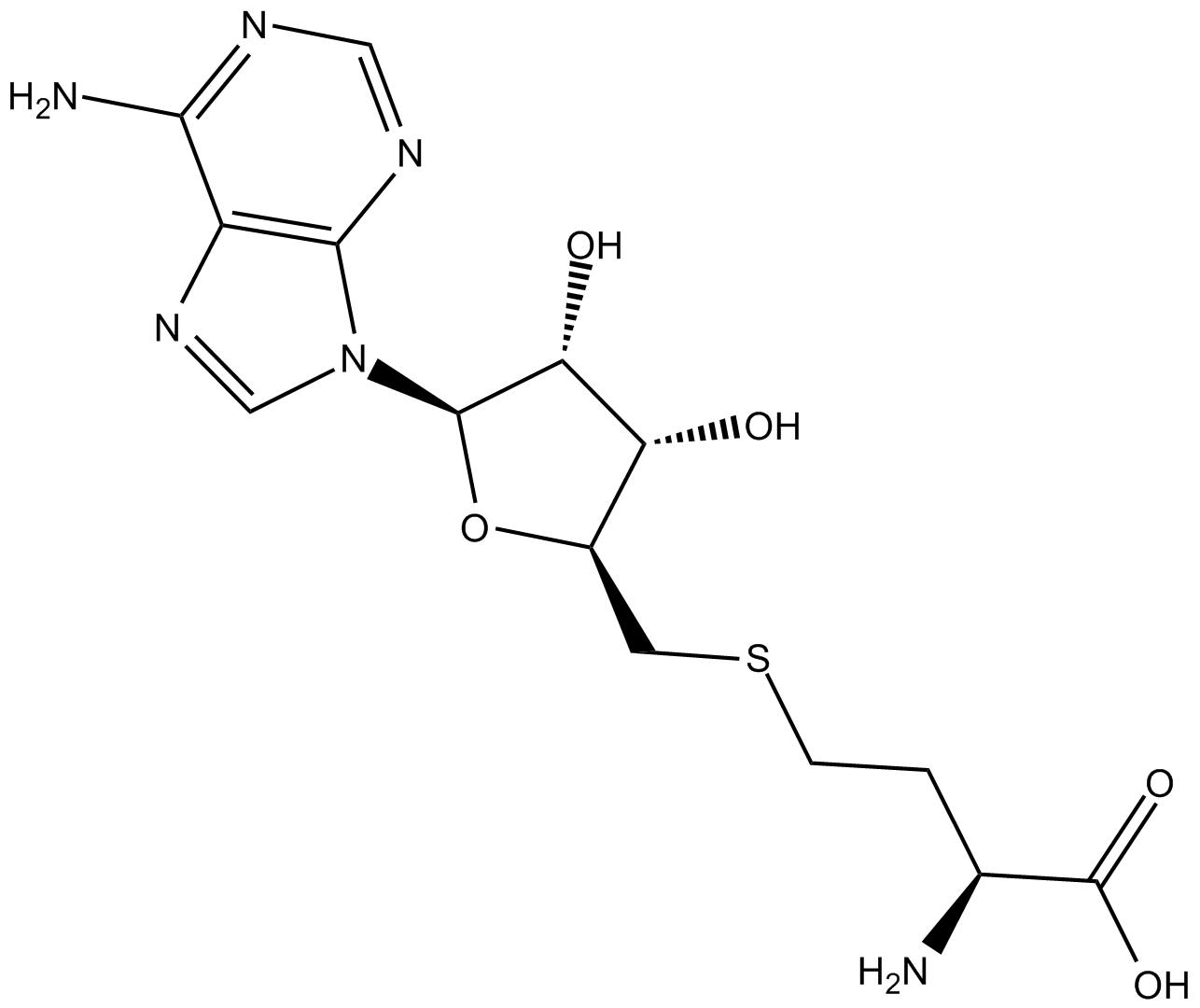 S-(5'-腺苷)-L-高半胱氨酸