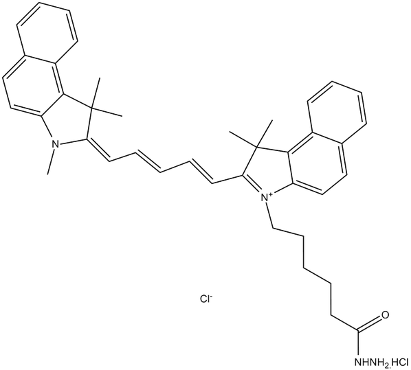 Cy5.5 hydrazide (non-sulfonated)