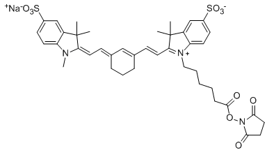 Sulfo-Cy7.5 NHS ester