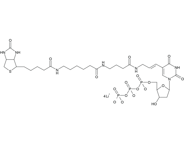 Biotin-16-dUTP