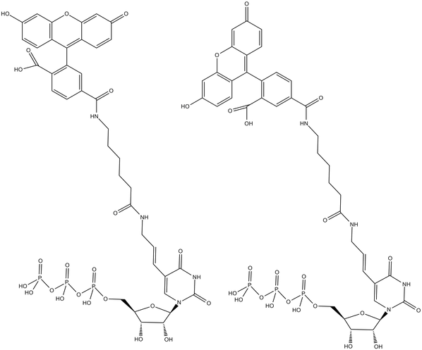 Fluorescein-UTP