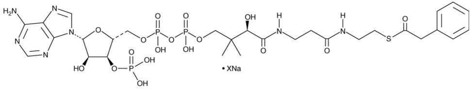 Phenylacetyl-Coenzyme A (sodium salt)